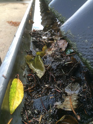 rengøring af tagrender